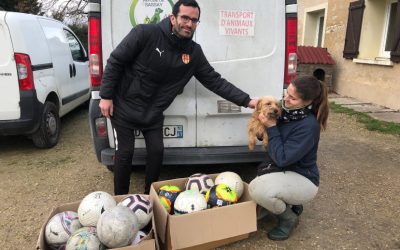 Dure vie d’un ballon de football au BloisFoot 41.