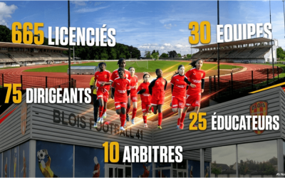 Les équipes