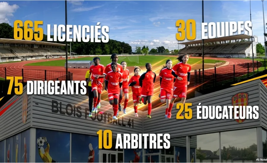 Les équipes